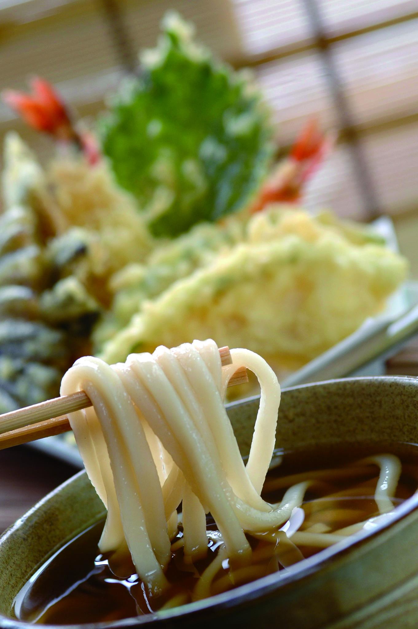 Udon Noodles