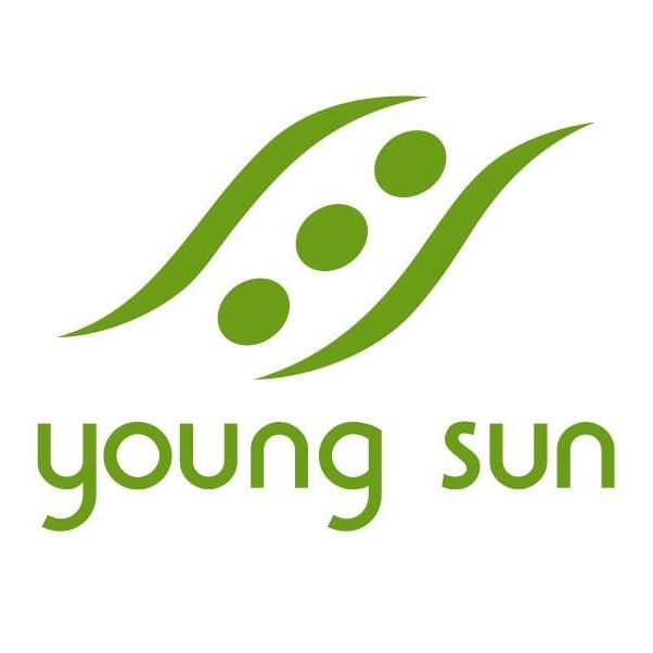 Young Sun