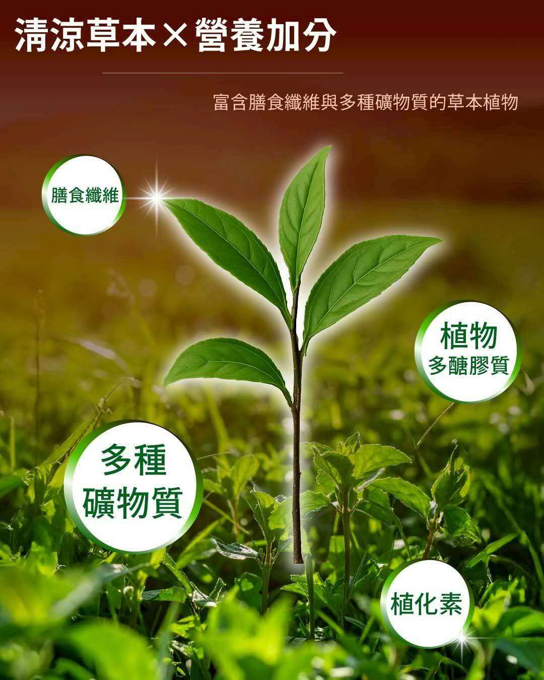 Grass Herbal Drink/Jelly Powder